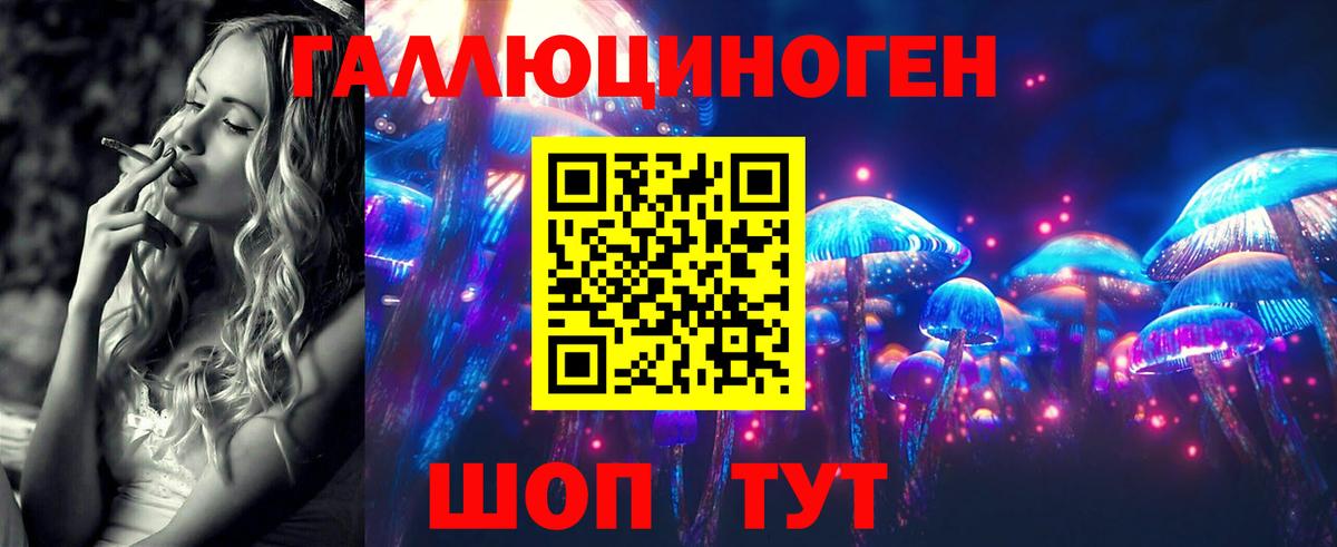 Ленинск-Кузнецкий  Галлюциногенные грибы Cubensis  Псилоцибиновые грибы Psilocybe  Вход с VPN 